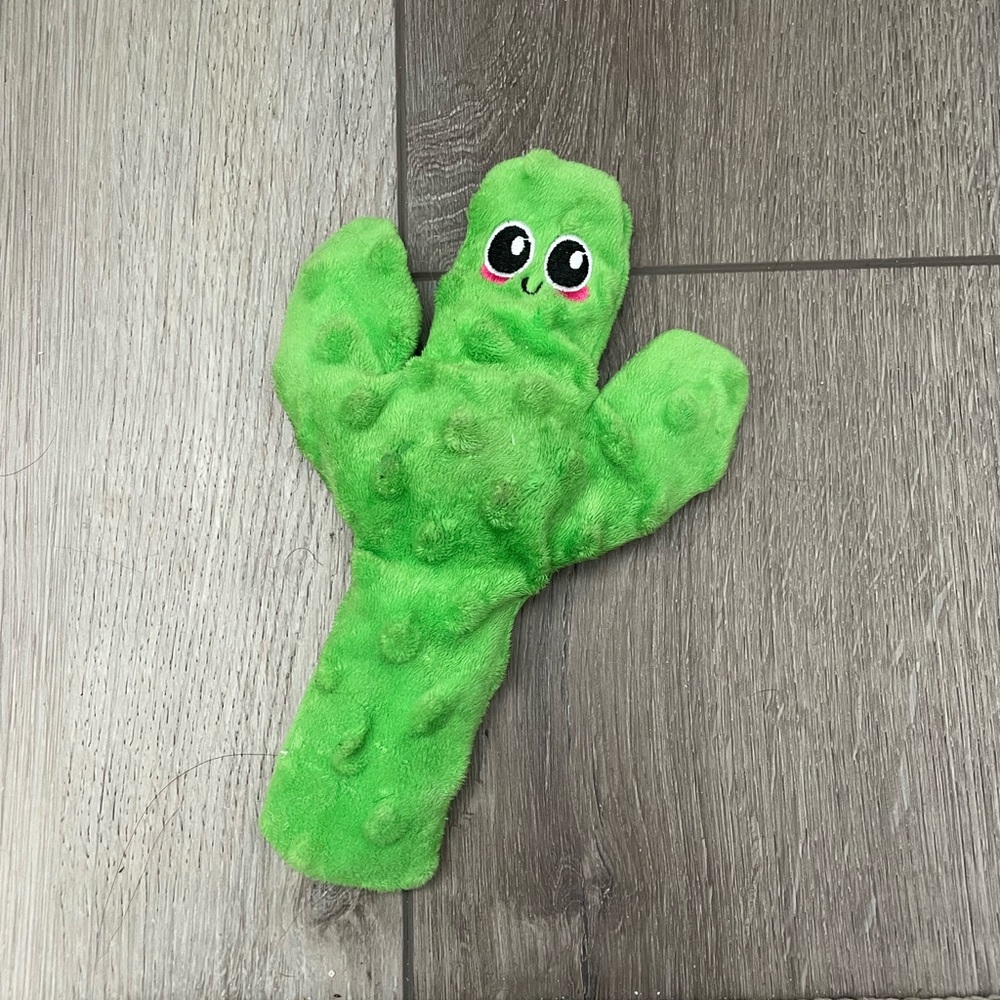 Faye’s cactus toy!